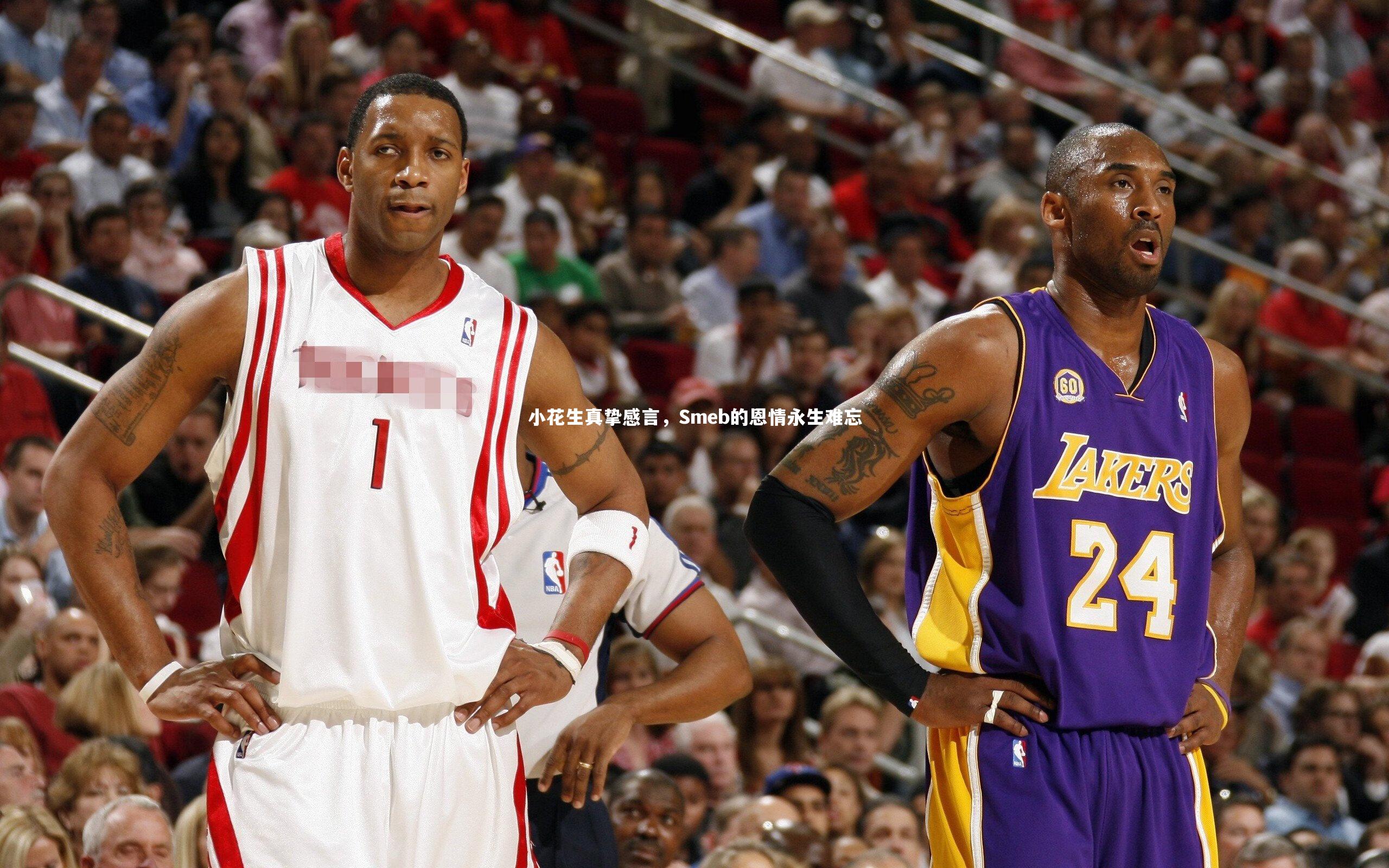 小花生真挚感言,Smeb的恩情永生难忘