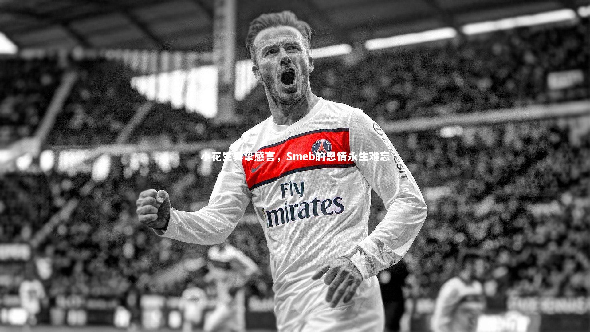 小花生真挚感言,Smeb的恩情永生难忘